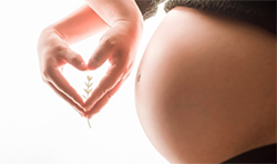 云浮怀孕6周怎么做亲子鉴定？云浮怀孕做亲子鉴定流程？